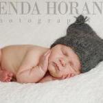 {little grey kitten}