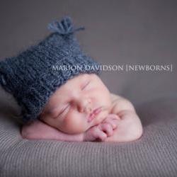 {little grey kitten}